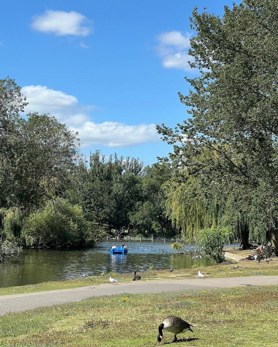 Regents park pedalo